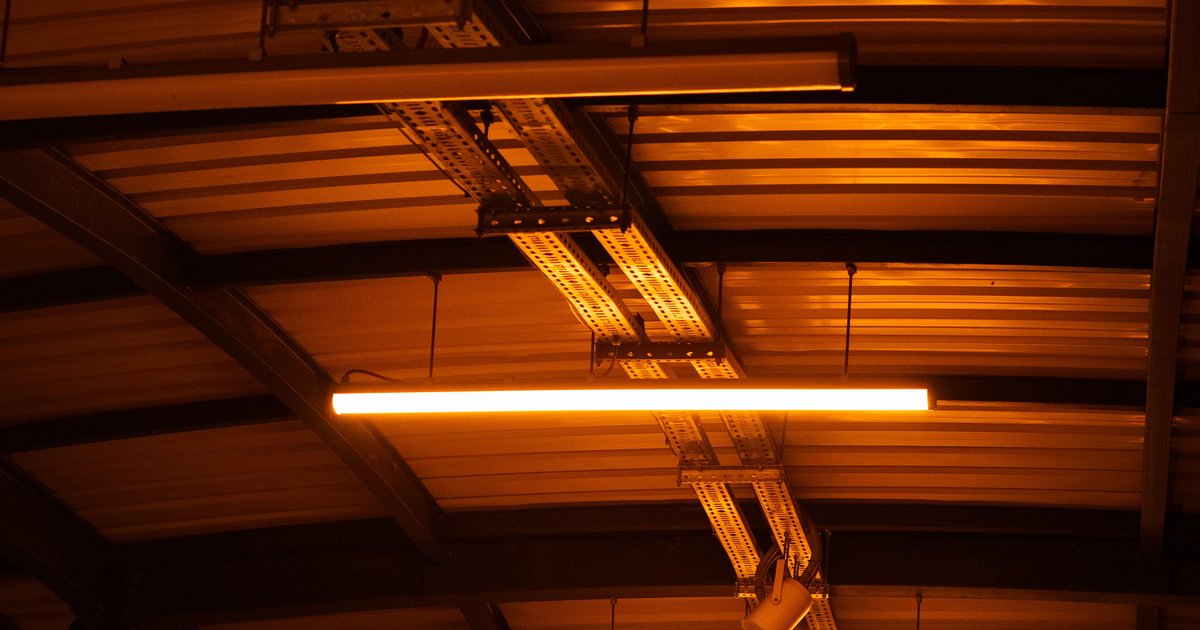 Alled oświetlenie led: oferta i dostępność